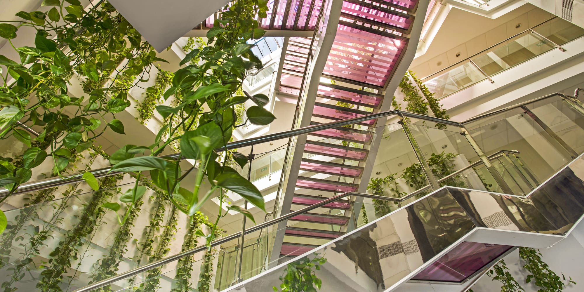 Modern atrium, pink stairs, glass railings, and green hanging vines.