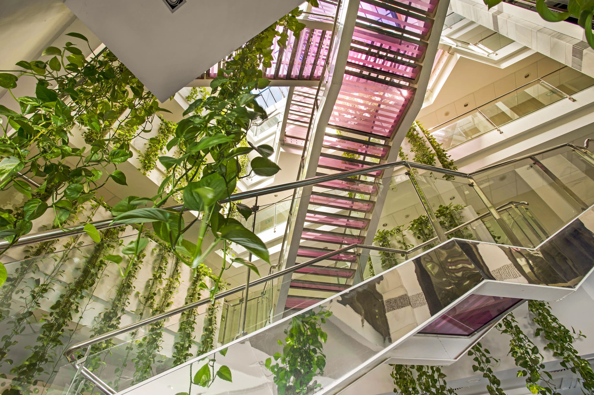 Modern atrium, pink stairs, glass railings, and green hanging vines.