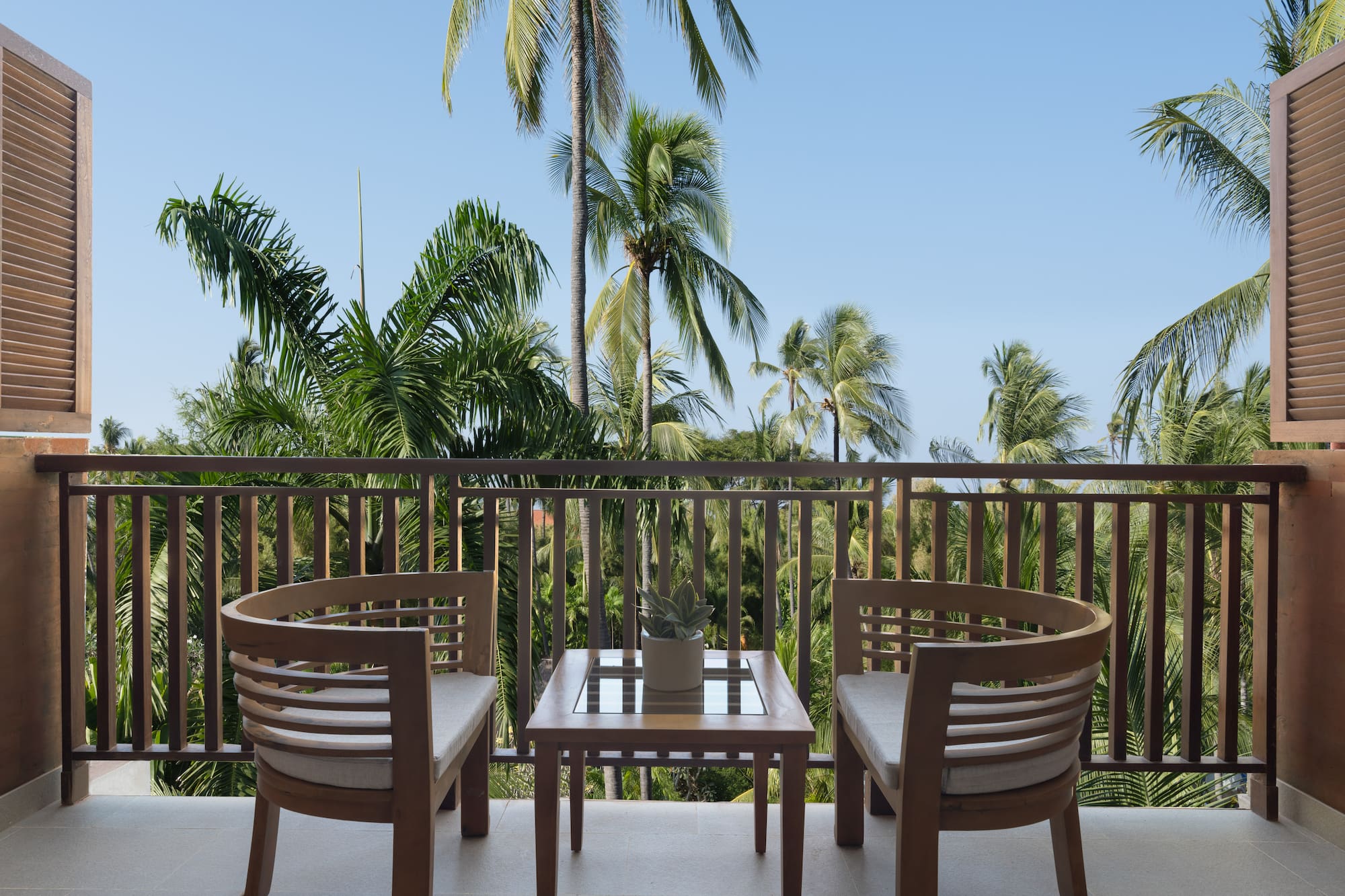 chairs on a balcony overlooking palm trees
