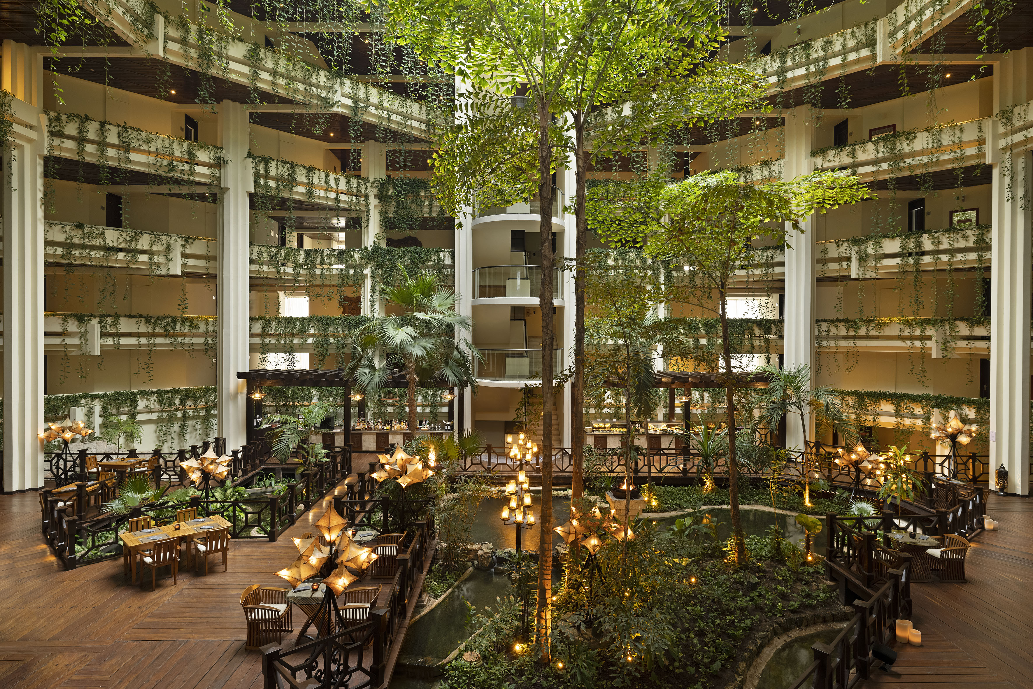 a courtyard with trees and plants