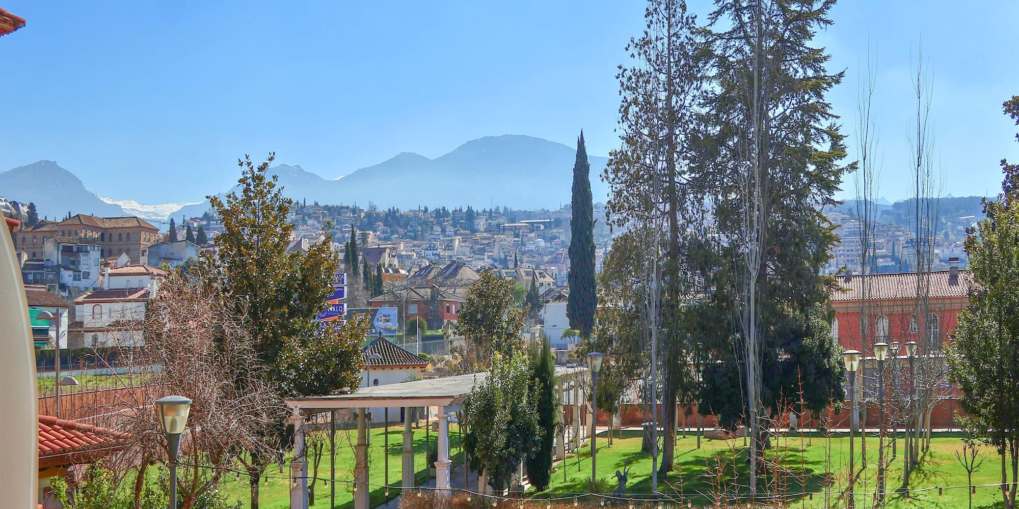 a park with trees and a building in the background