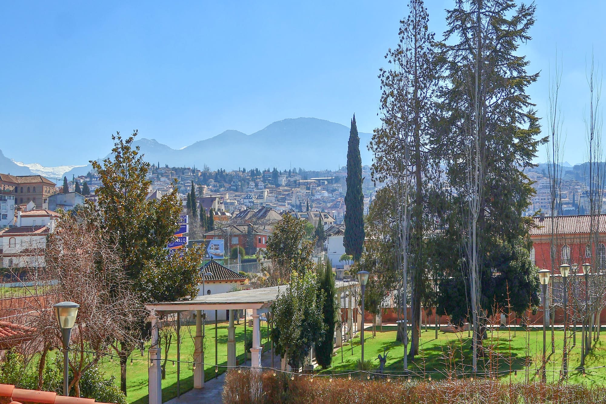 a park with trees and a building in the background
