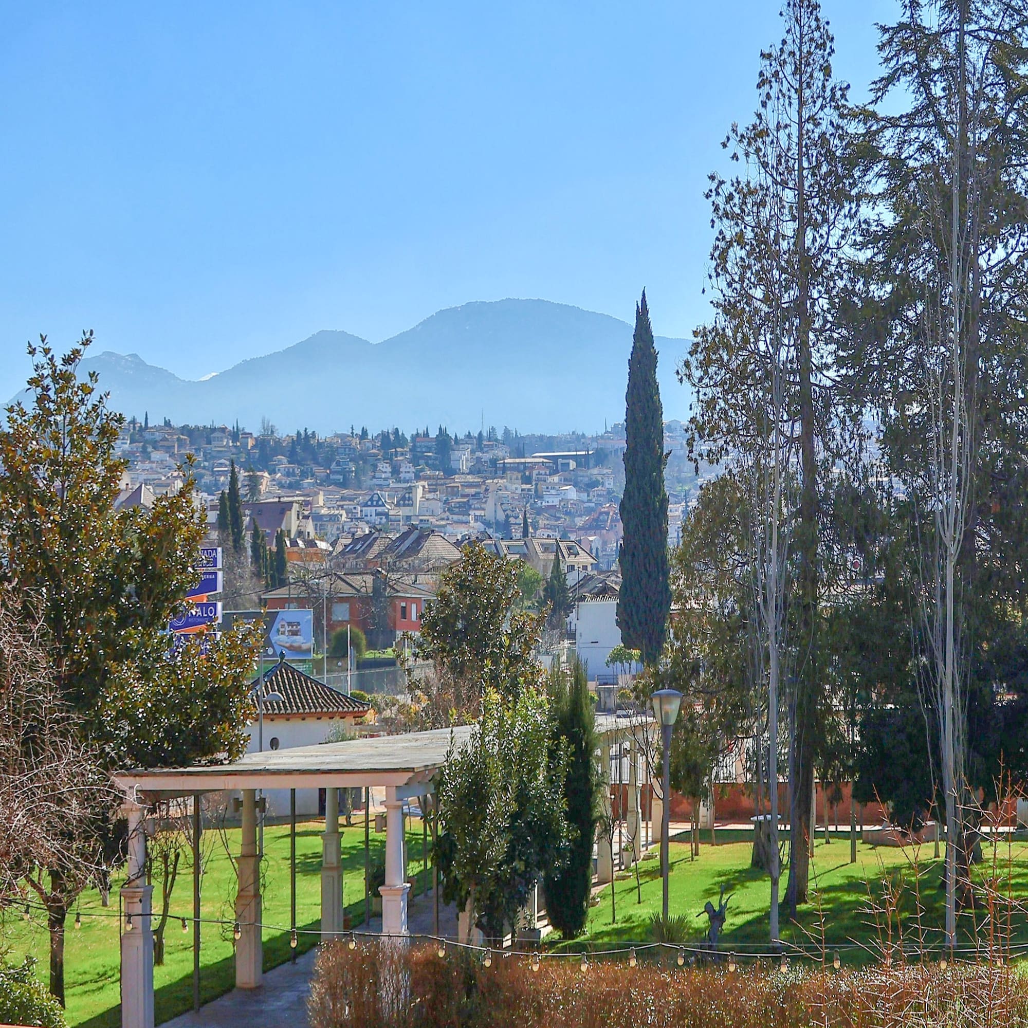 a park with trees and a building in the background