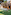 KidsDom outdoor club with wooden shelter, activity tables, and green lawn.