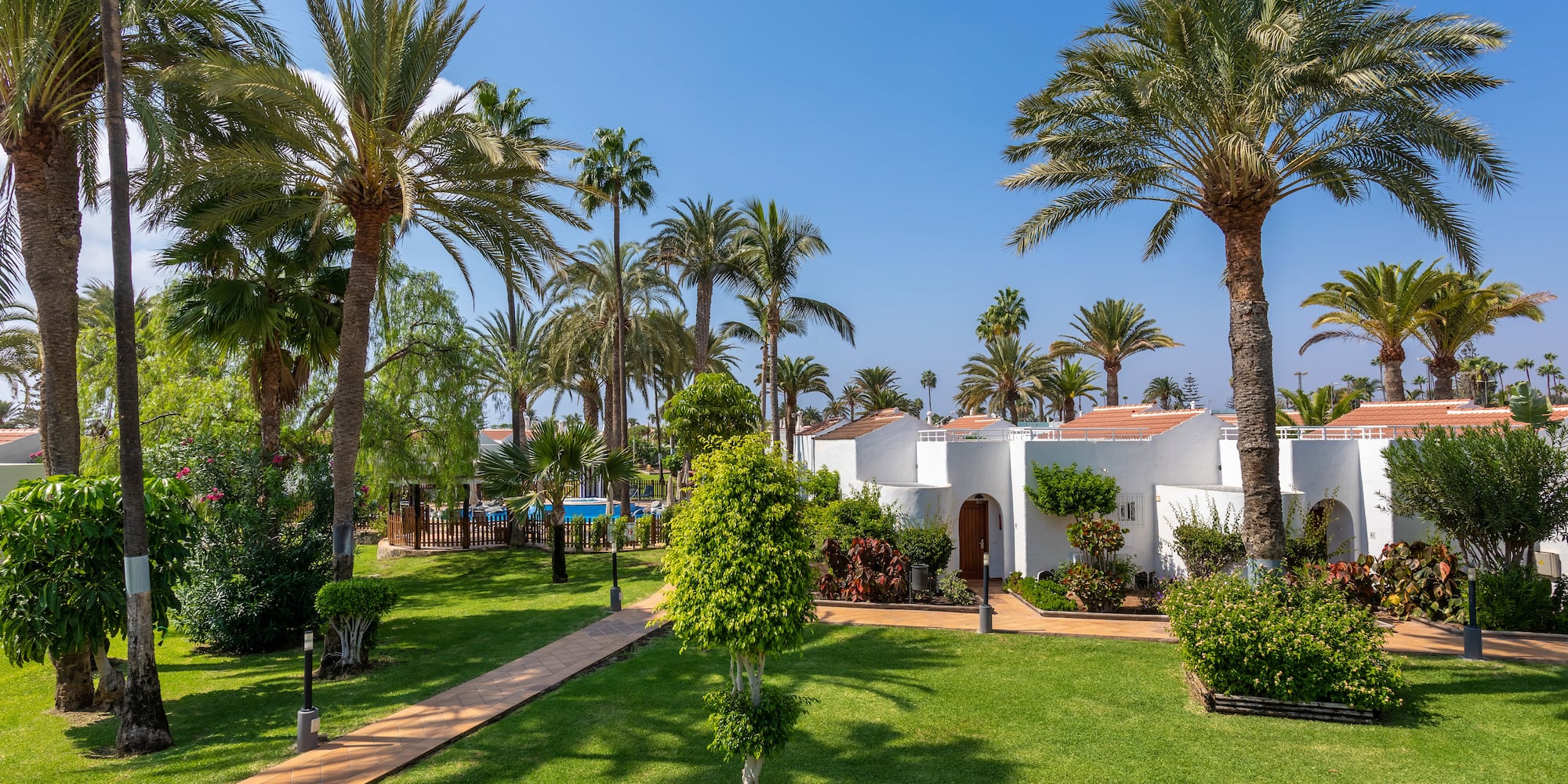 a white building with palm trees and a walkway