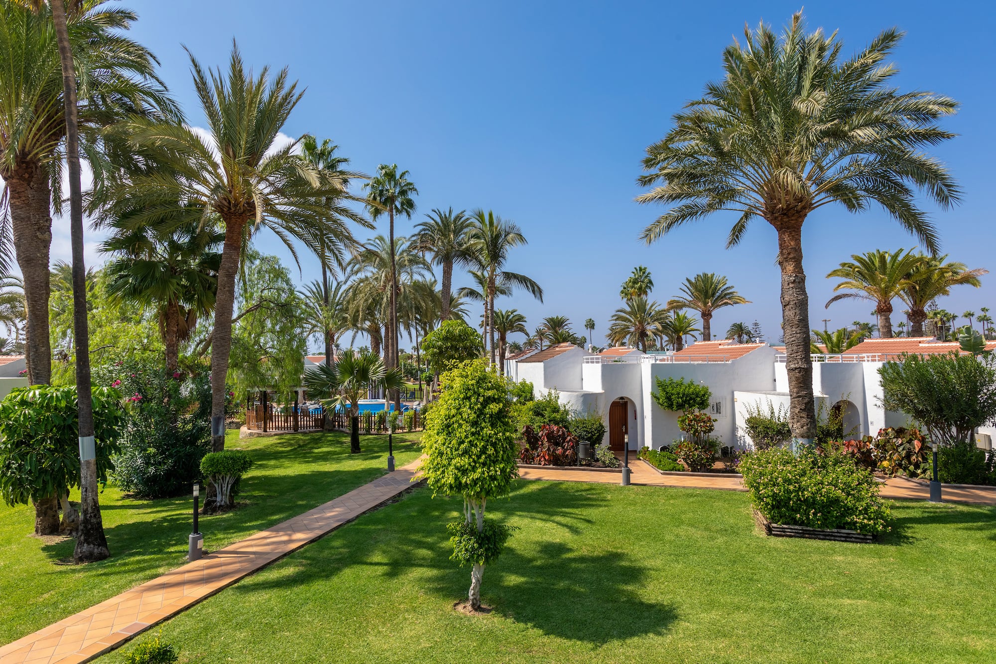 a white building with palm trees and a walkway