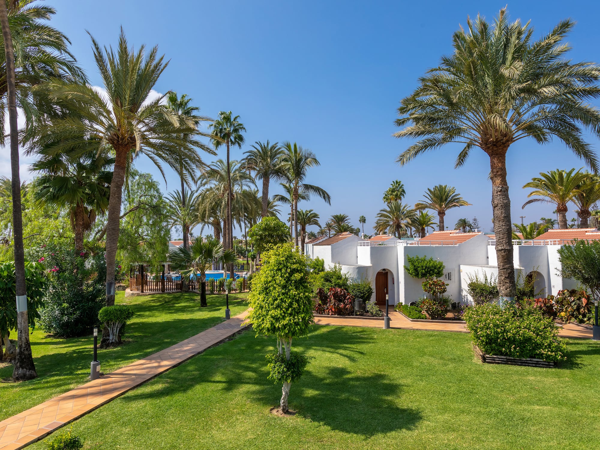 a white building with palm trees and a walkway