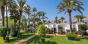 a white building with palm trees and a walkway