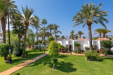 a white building with palm trees and a walkway