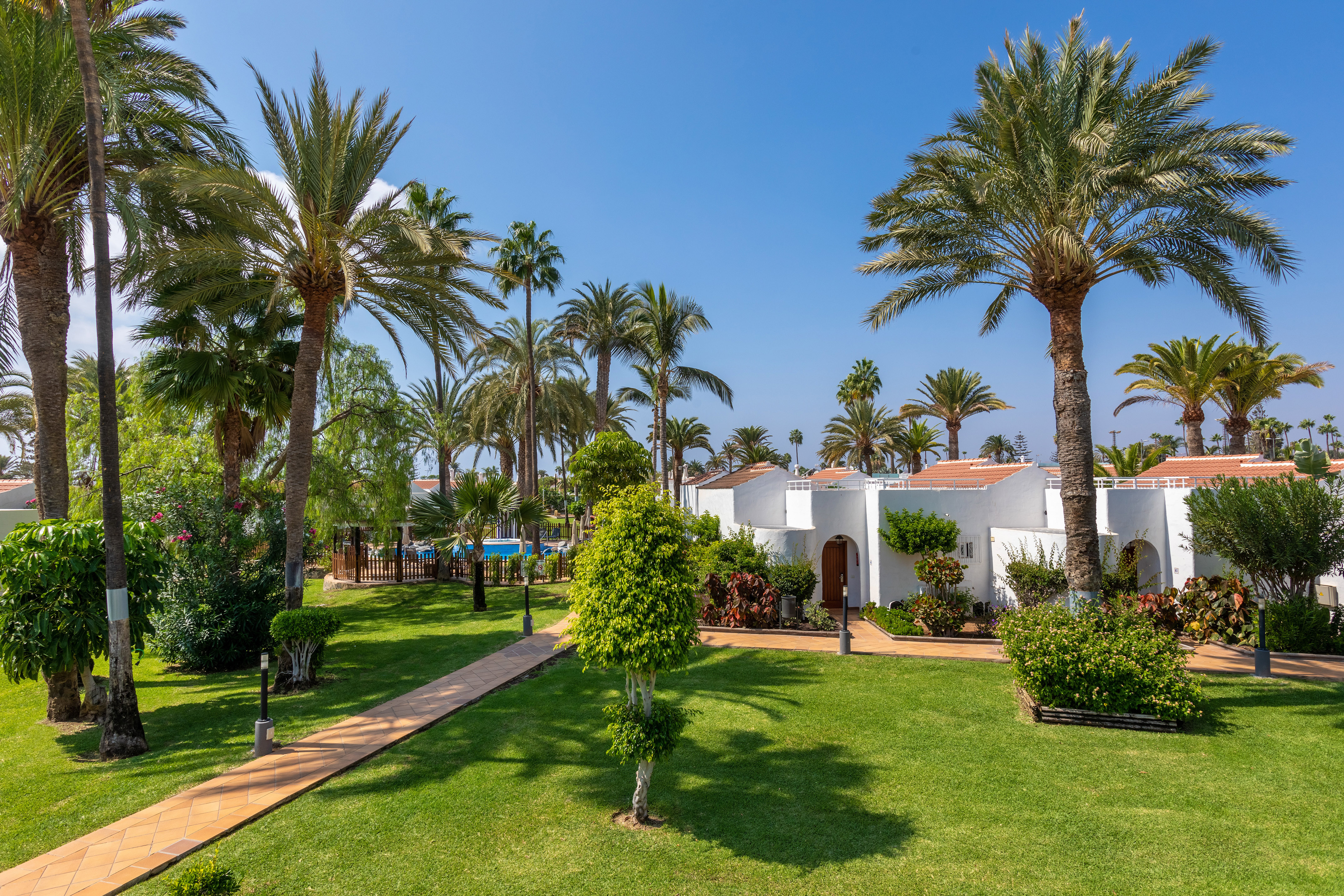 Lush tropical resort garden with palm trees, white bungalows, and pathway.