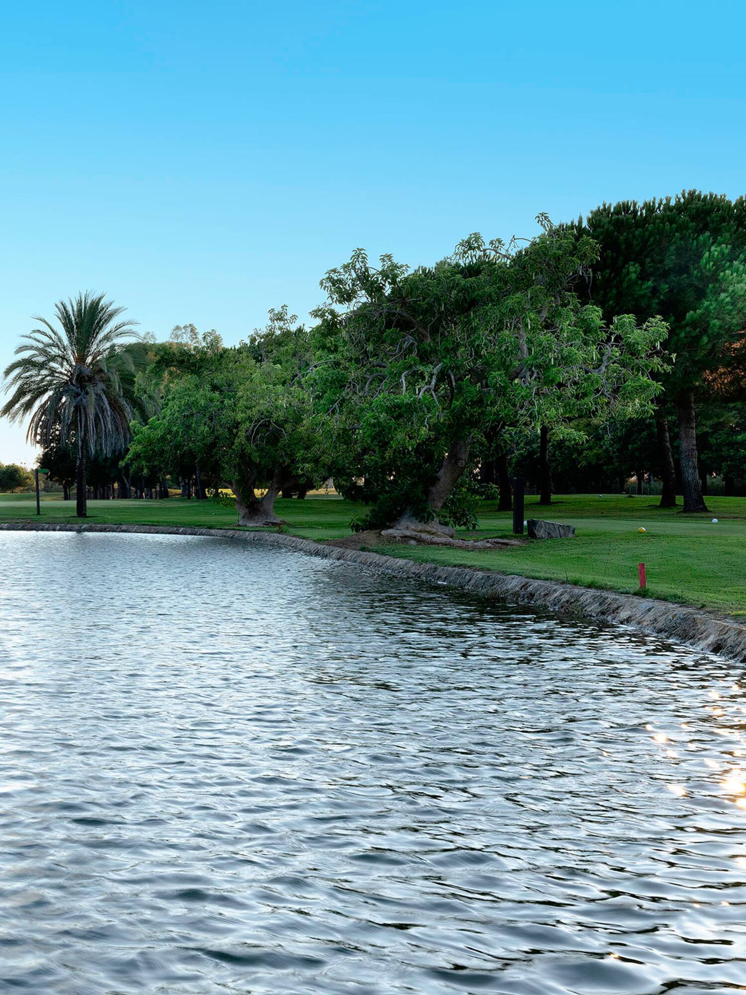 a body of water with trees and grass