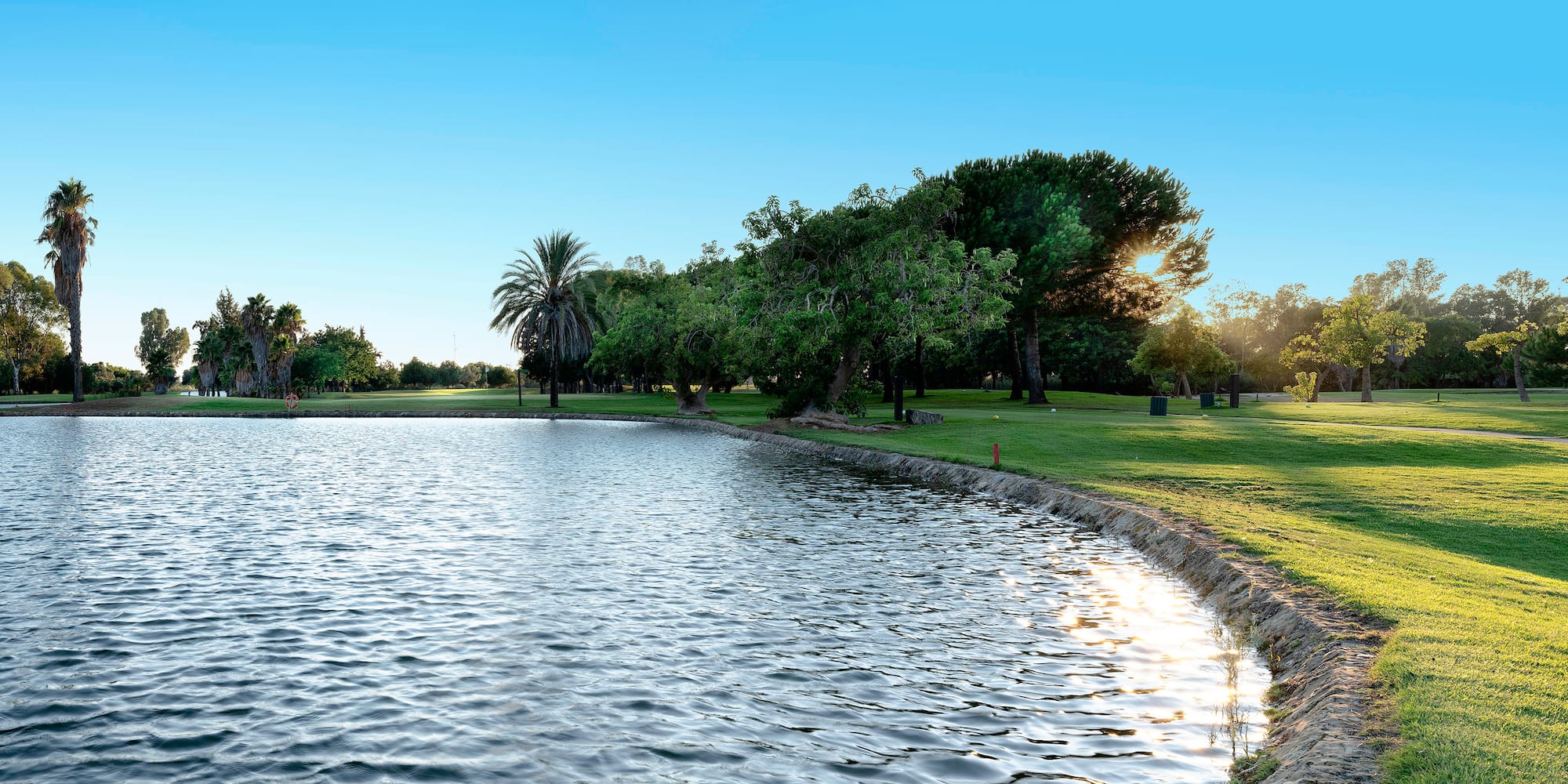 a body of water with trees and grass