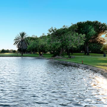 a body of water with trees and grass