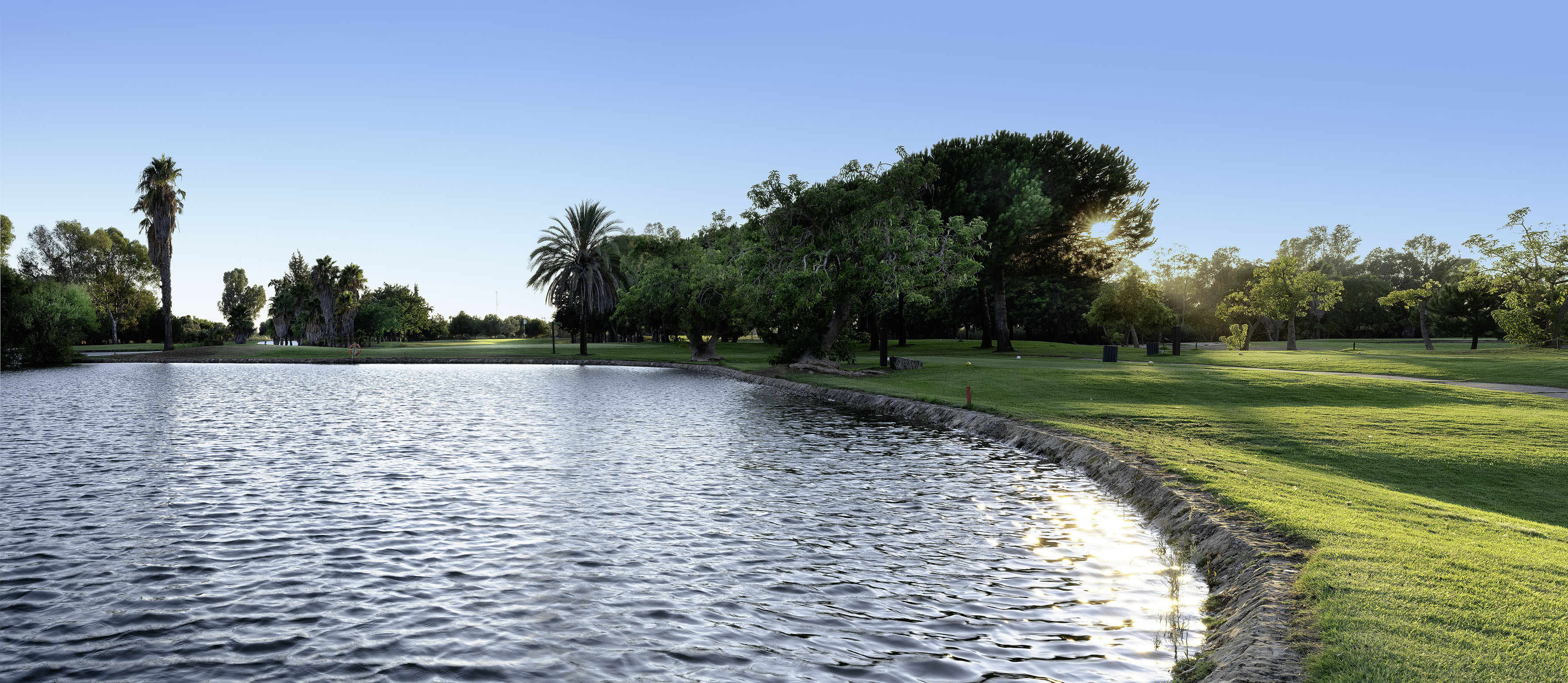 Golf course pond with green banks, palm trees, and bright sunlight.
