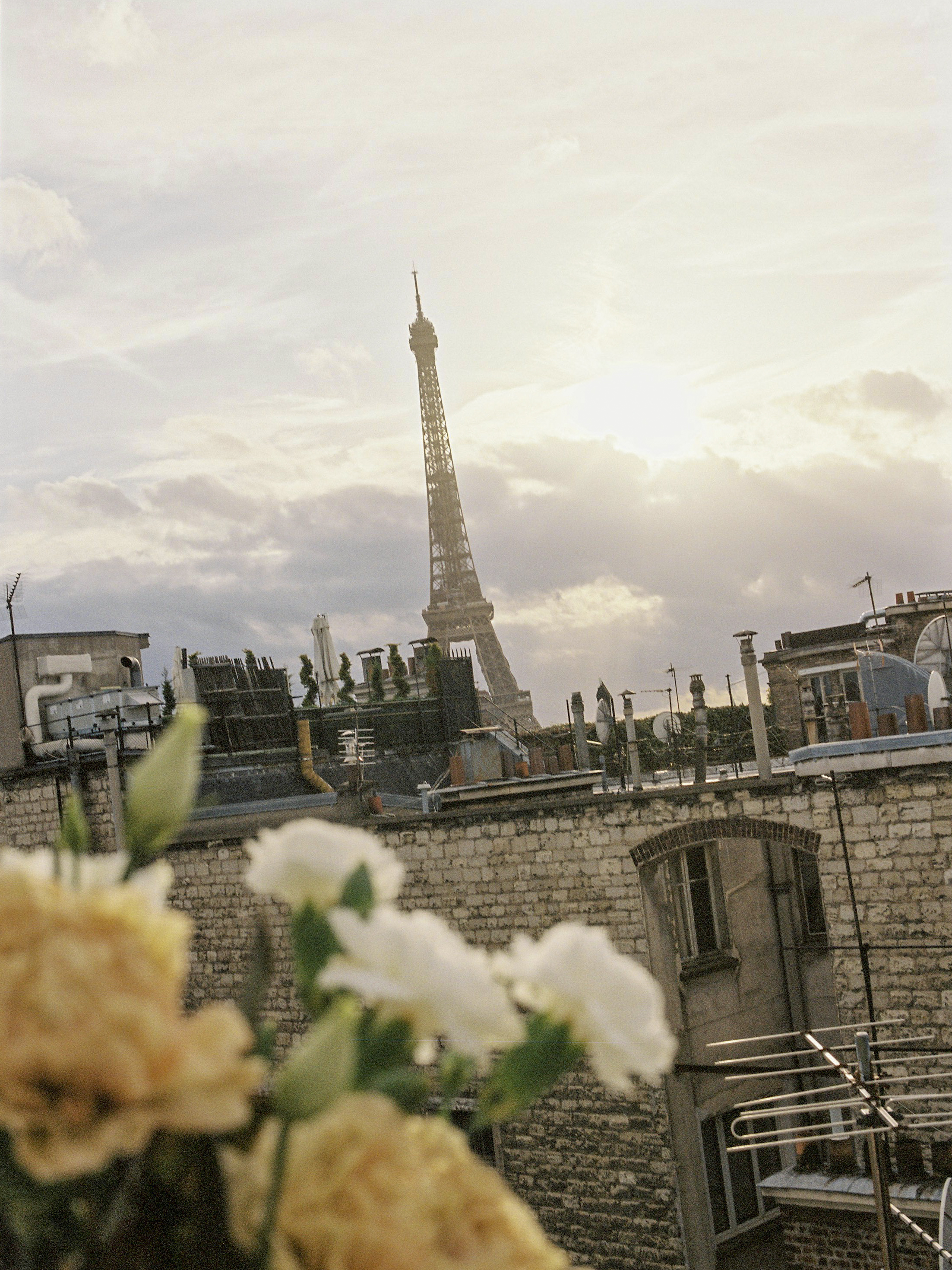 Iconic Eiffel Tower towering over Parisian rooftops with blurred flowers.
