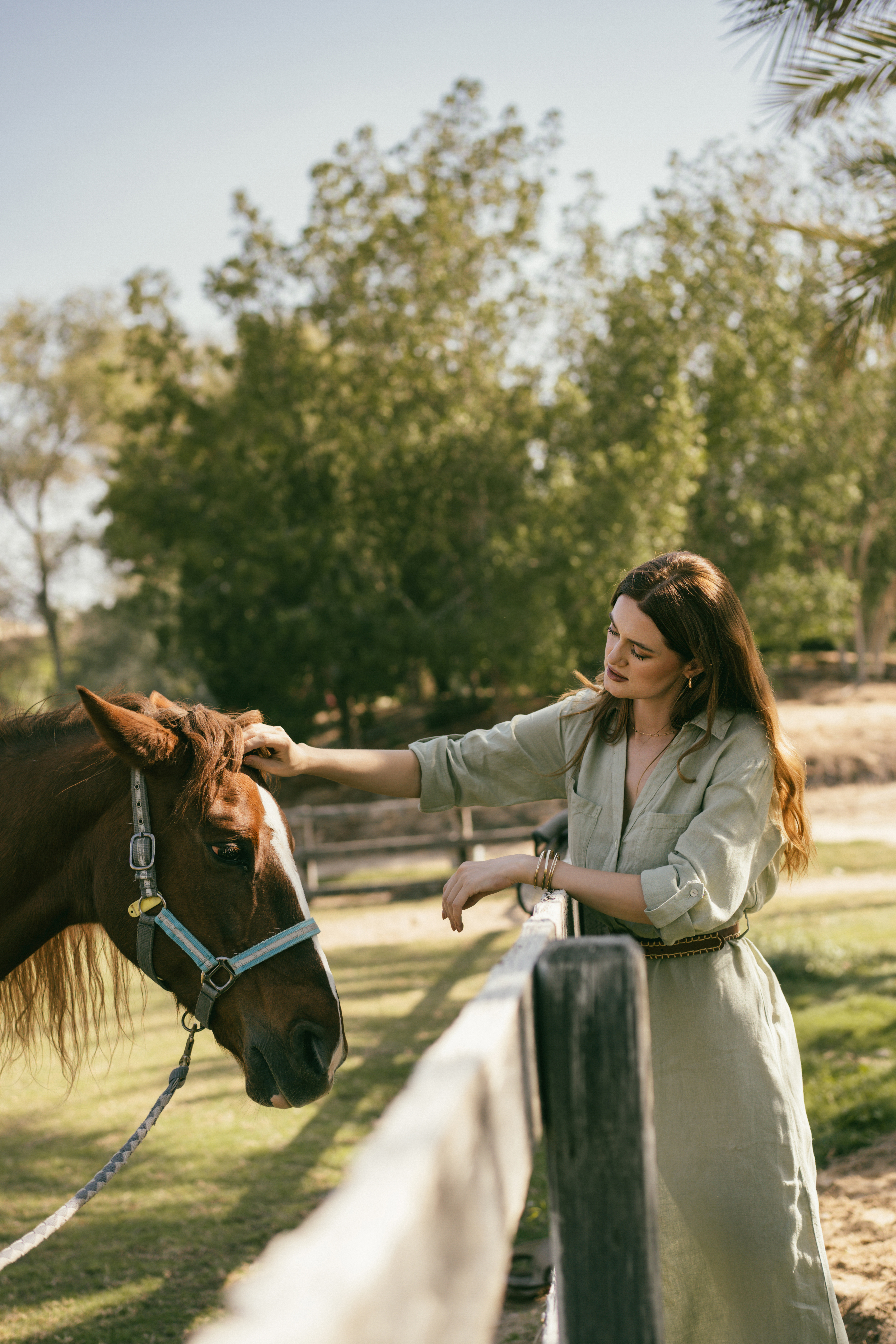 Woman petting brown horse with blue halter at a wooden fence.