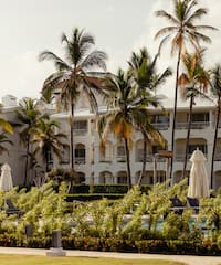 a building with palm trees and a pool