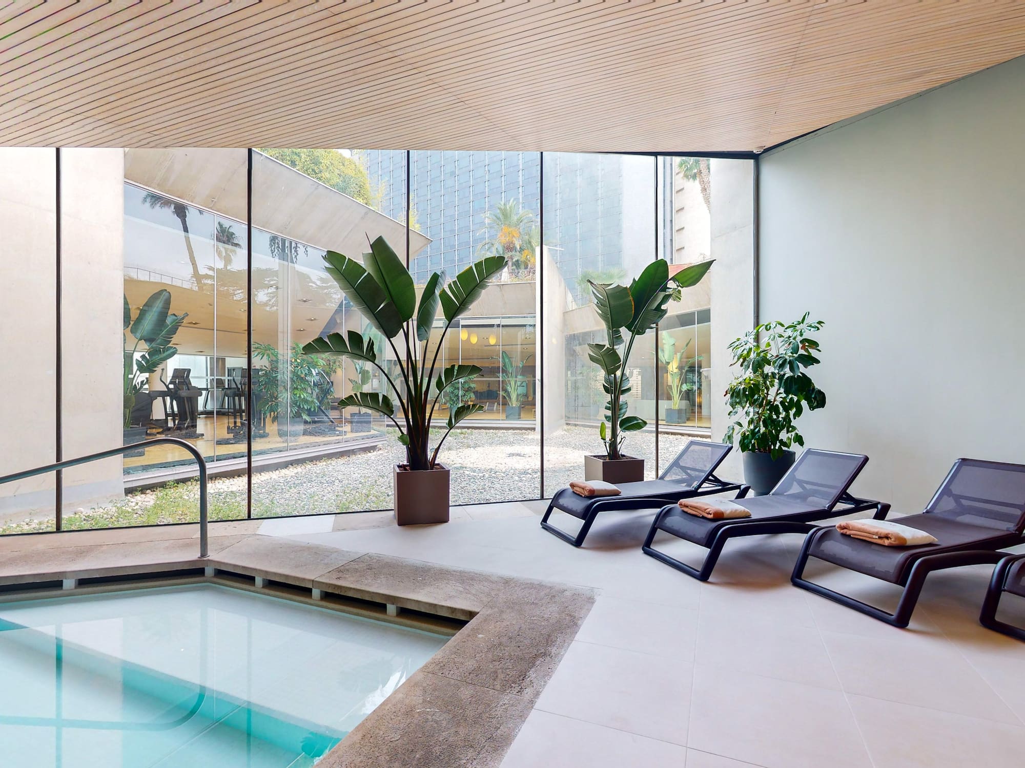 a pool with lounge chairs and plants in a room with windows