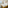 Bright hotel room with twin beds, city view, hot air balloon mural, wooden floor.