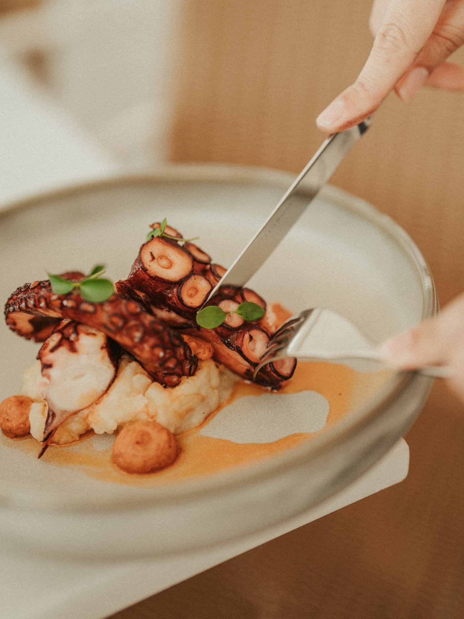a person holding a plate of food
