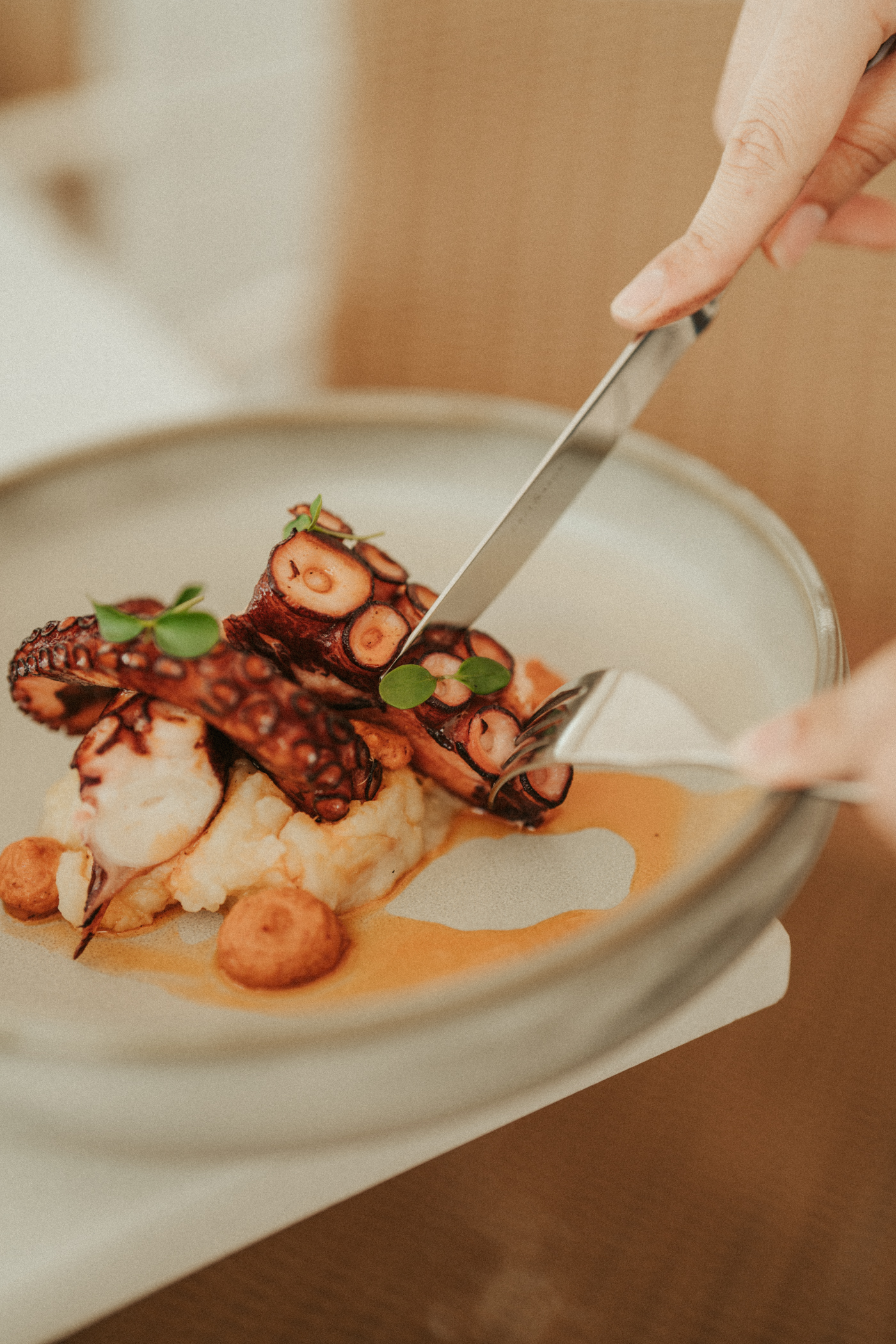 Gourmet grilled octopus seafood dish with mashed potato, being cut.