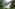 Powerful waterfall in a lush green tropical forest with rising mist.