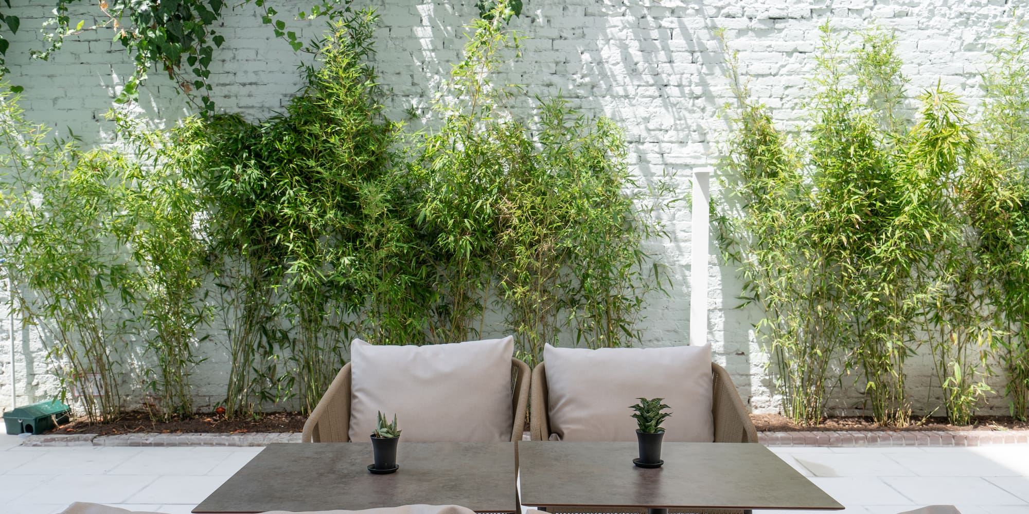 a table and chairs with plants in the background