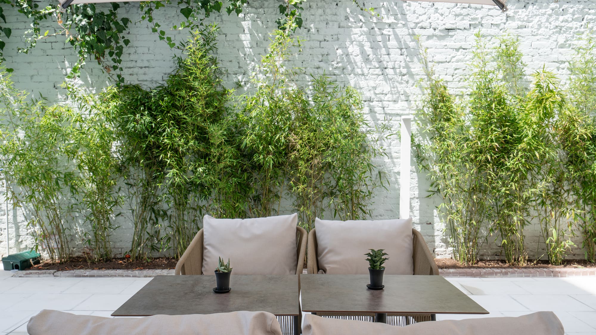 a table and chairs with plants in the background