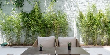 a table and chairs with plants in the background