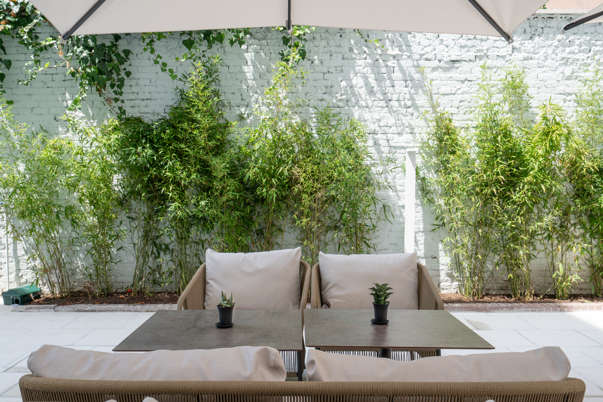 Outdoor patio with shaded seating, tables, bamboo, and a white brick wall.