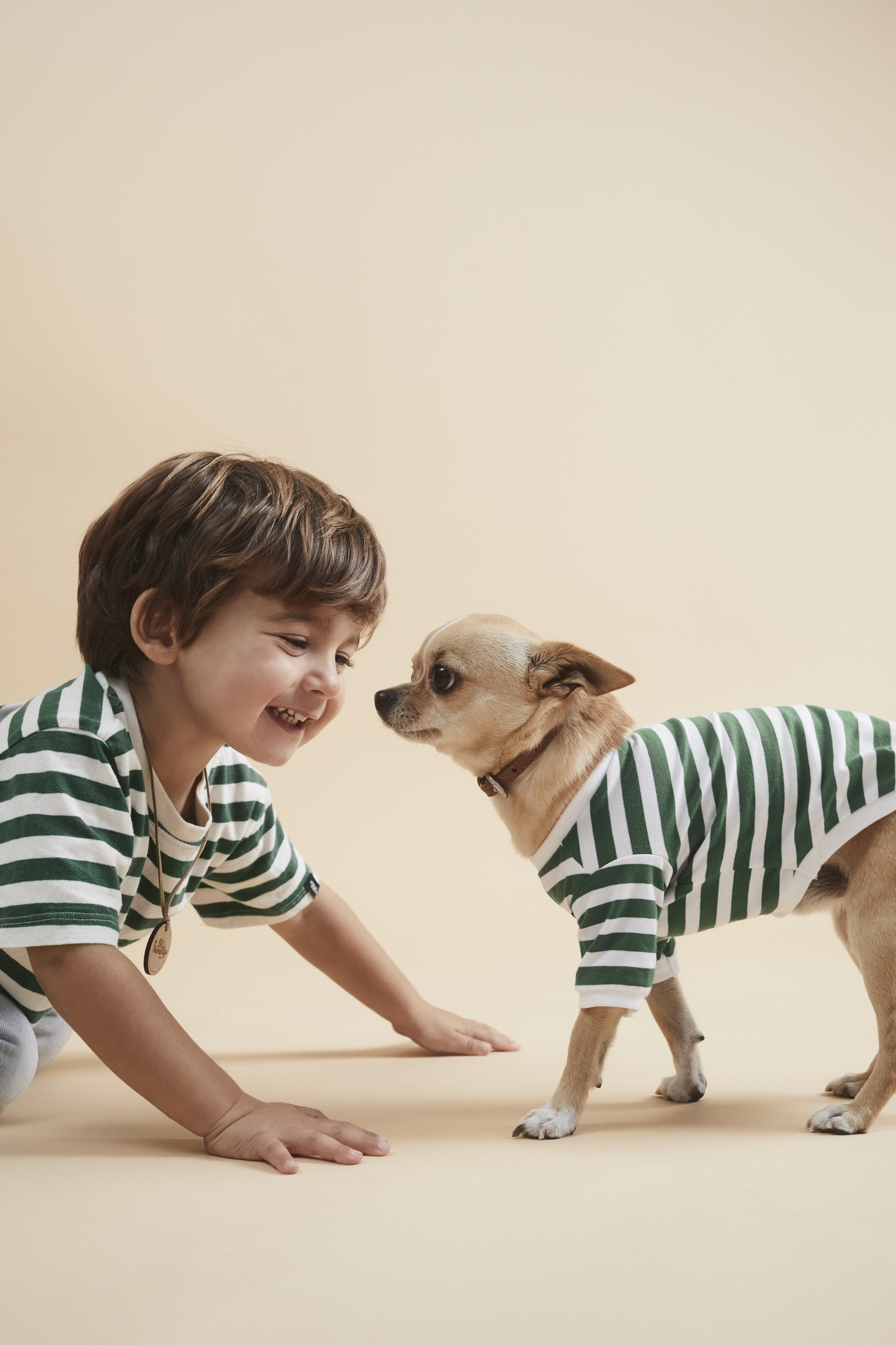 a boy and a dog looking at each other