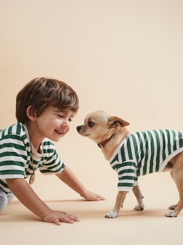 a boy and a dog looking at each other