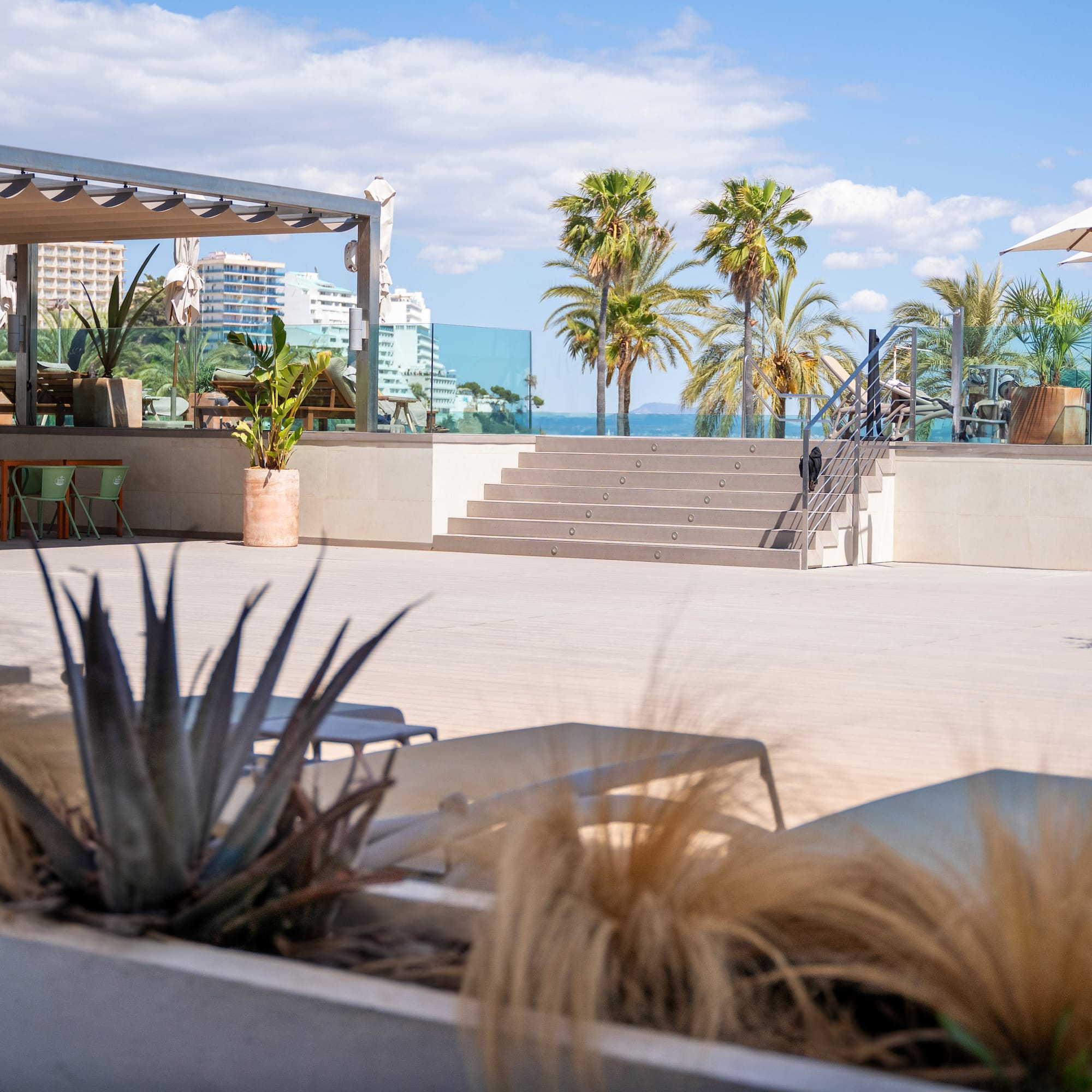 a patio with chairs and palm trees