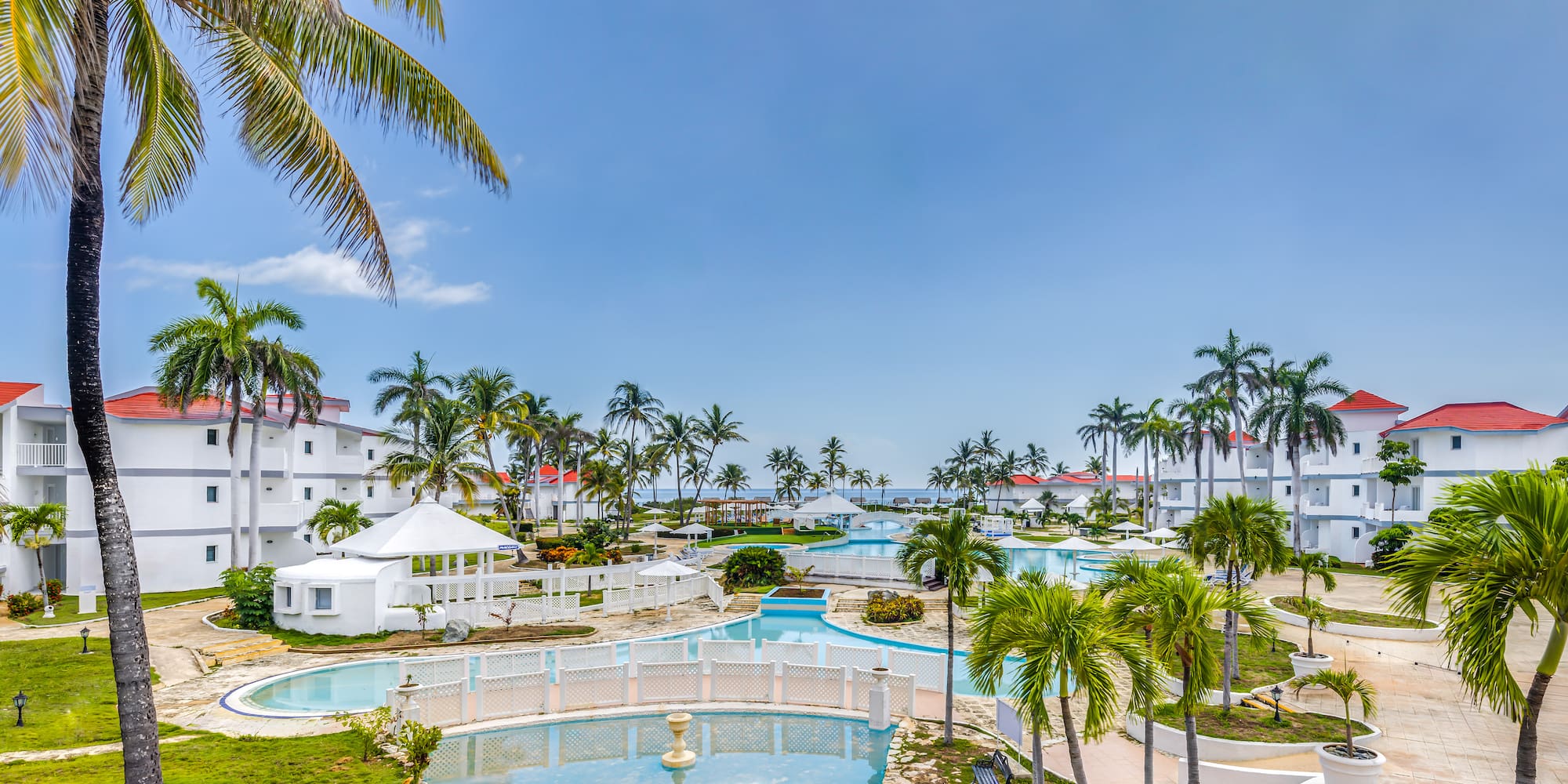 a pool with palm trees and buildings