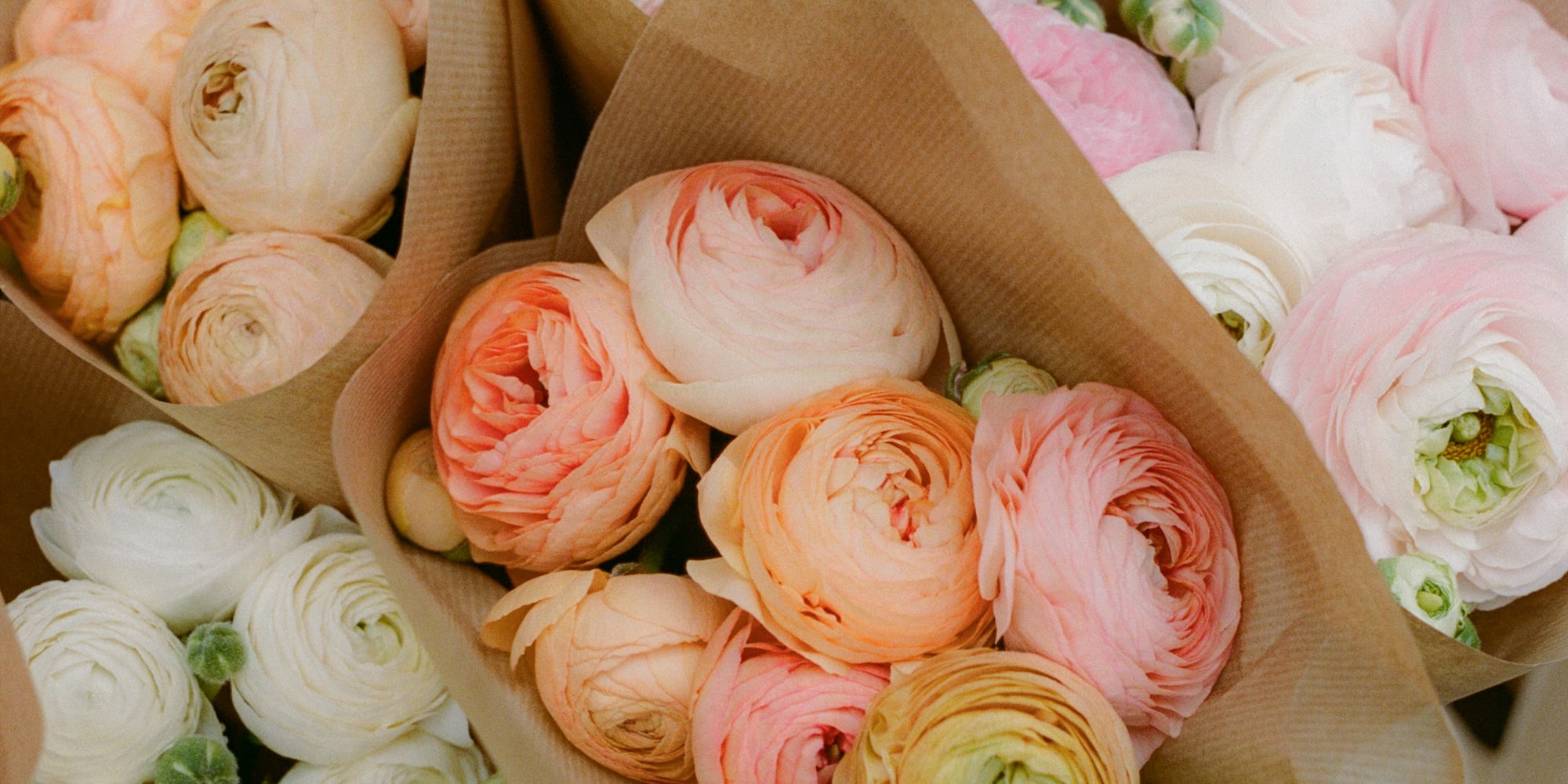 Pastel ranunculus bouquets, white, pink, peach flowers in kraft paper.