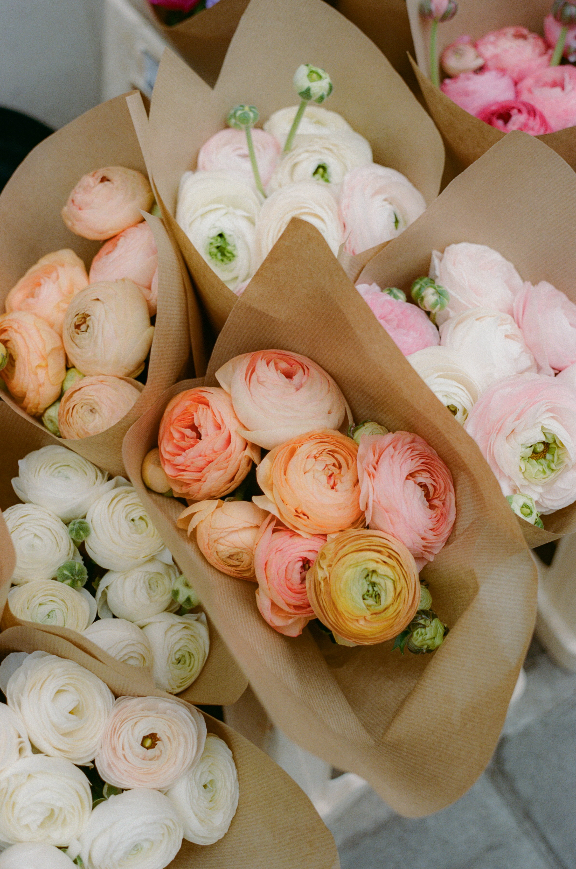 Pastel ranunculus bouquets, white, pink, peach flowers in kraft paper.