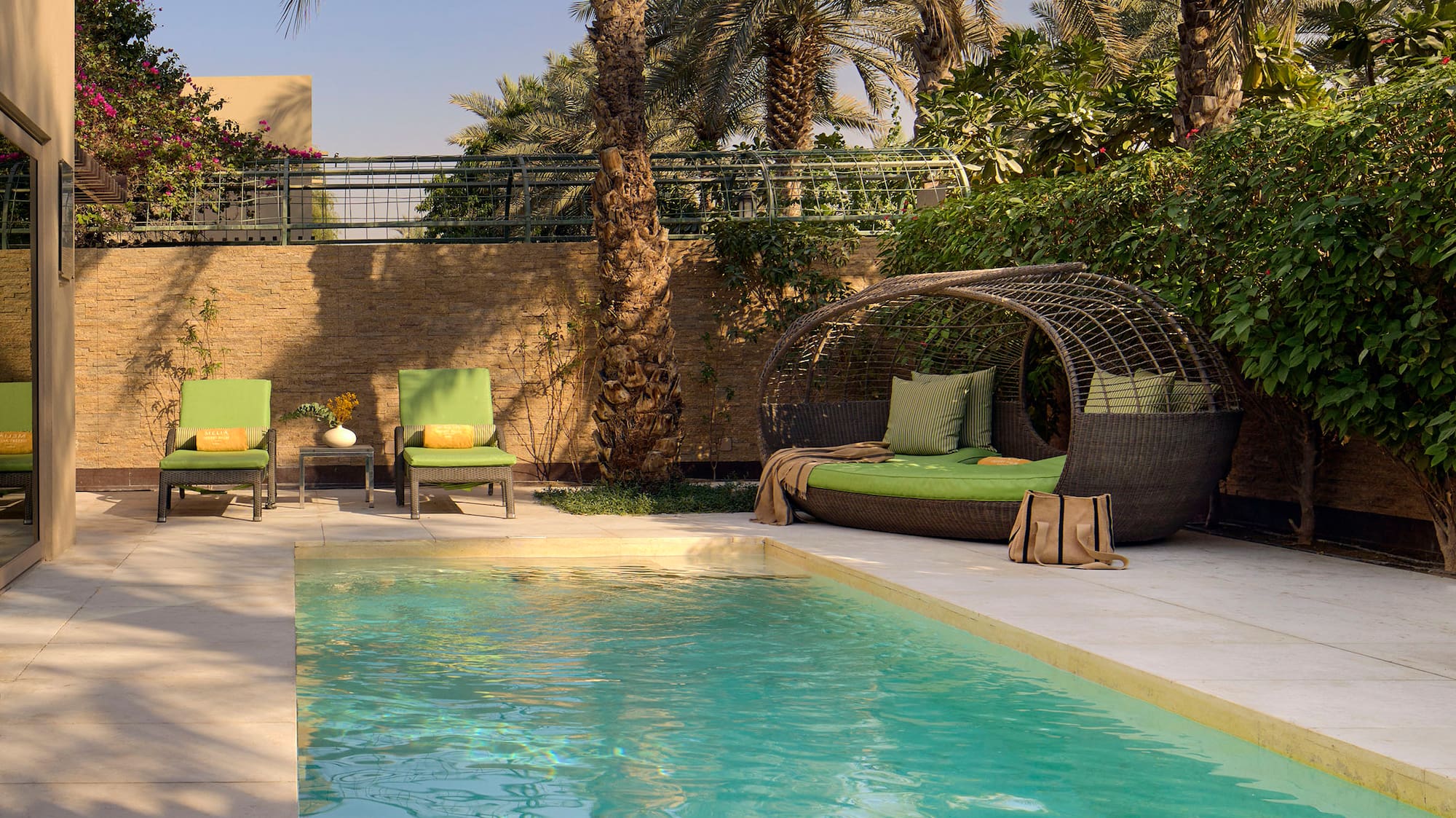 a pool with chairs and a palm tree
