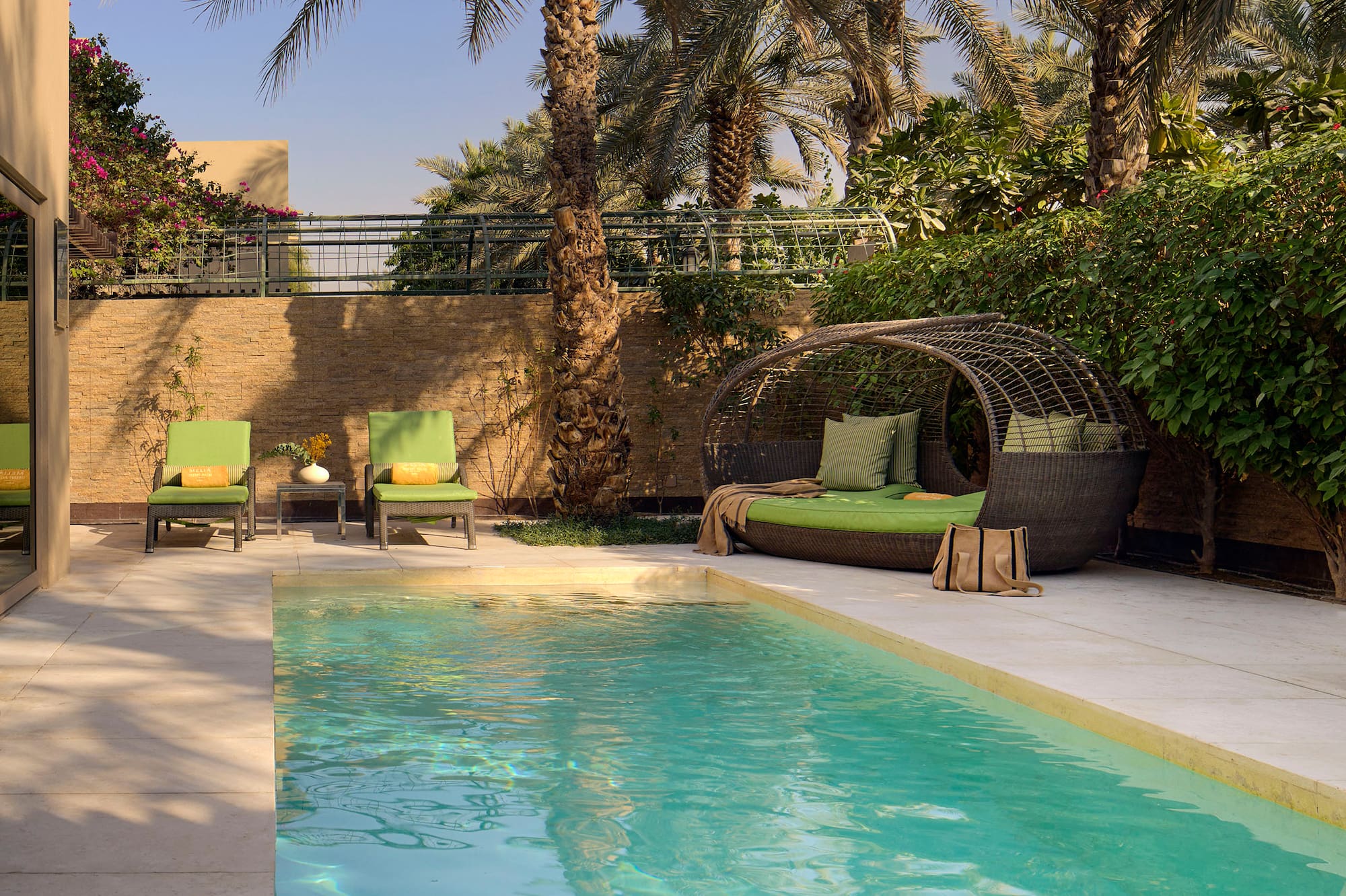 a pool with chairs and a palm tree