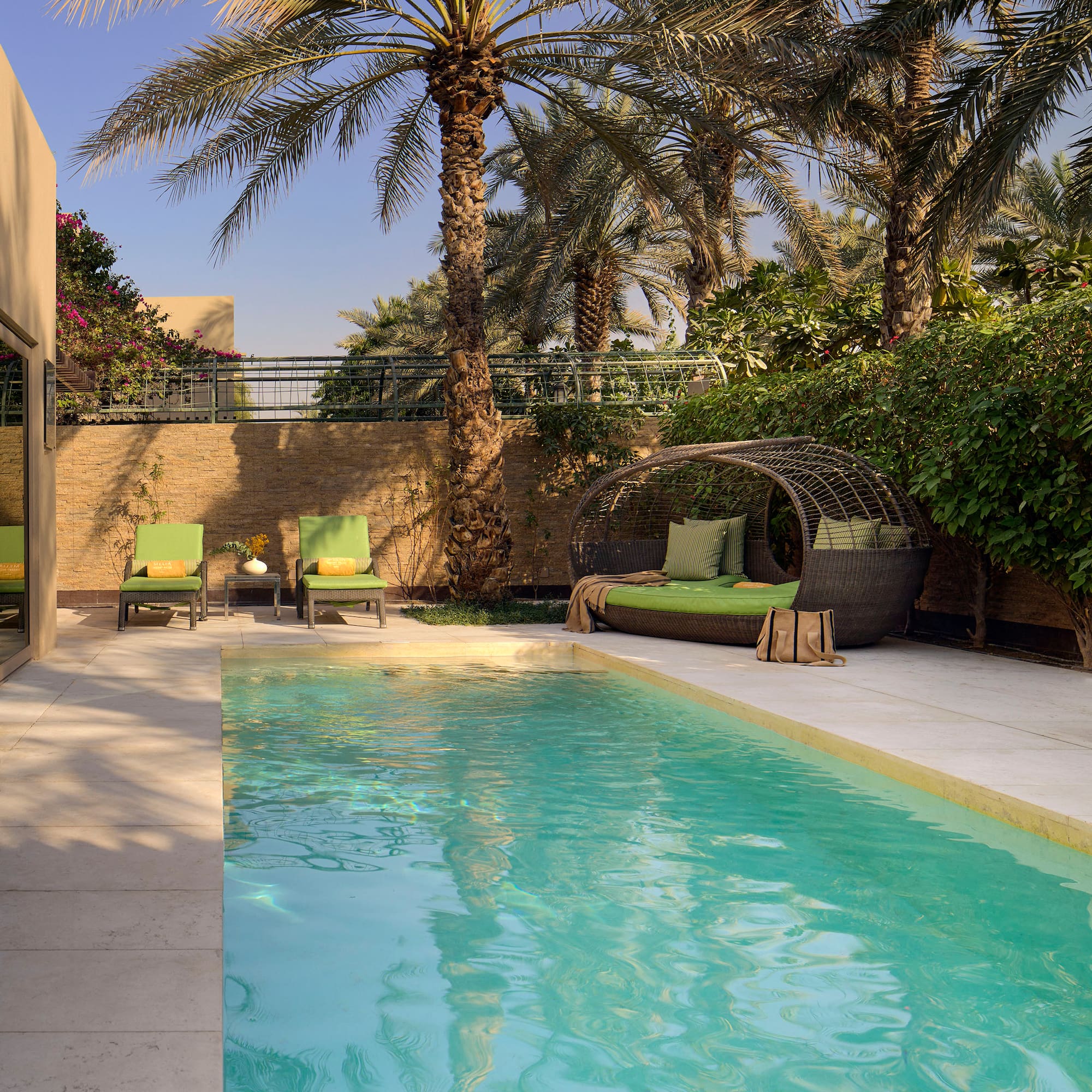 a pool with chairs and a palm tree