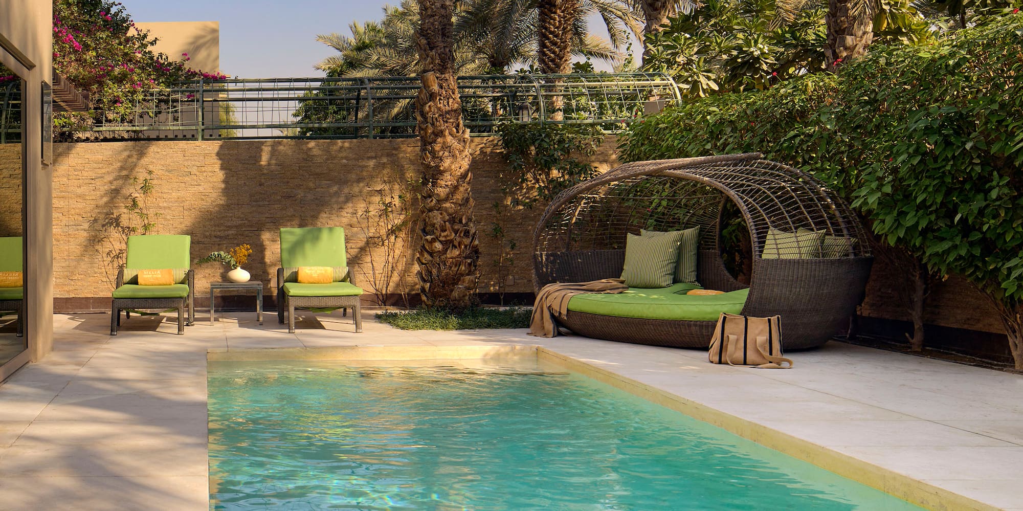 a pool with chairs and a palm tree