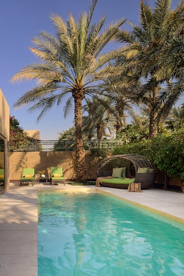a pool with chairs and a palm tree