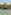 Tropical resort with white building, red roof, palm trees, and swimming pool.