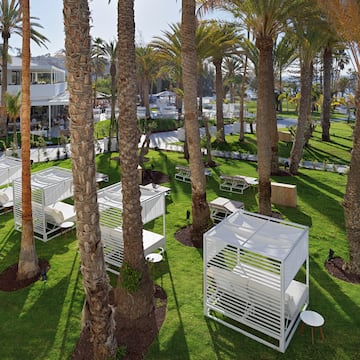 a group of white tables and chairs in a grassy area with palm trees