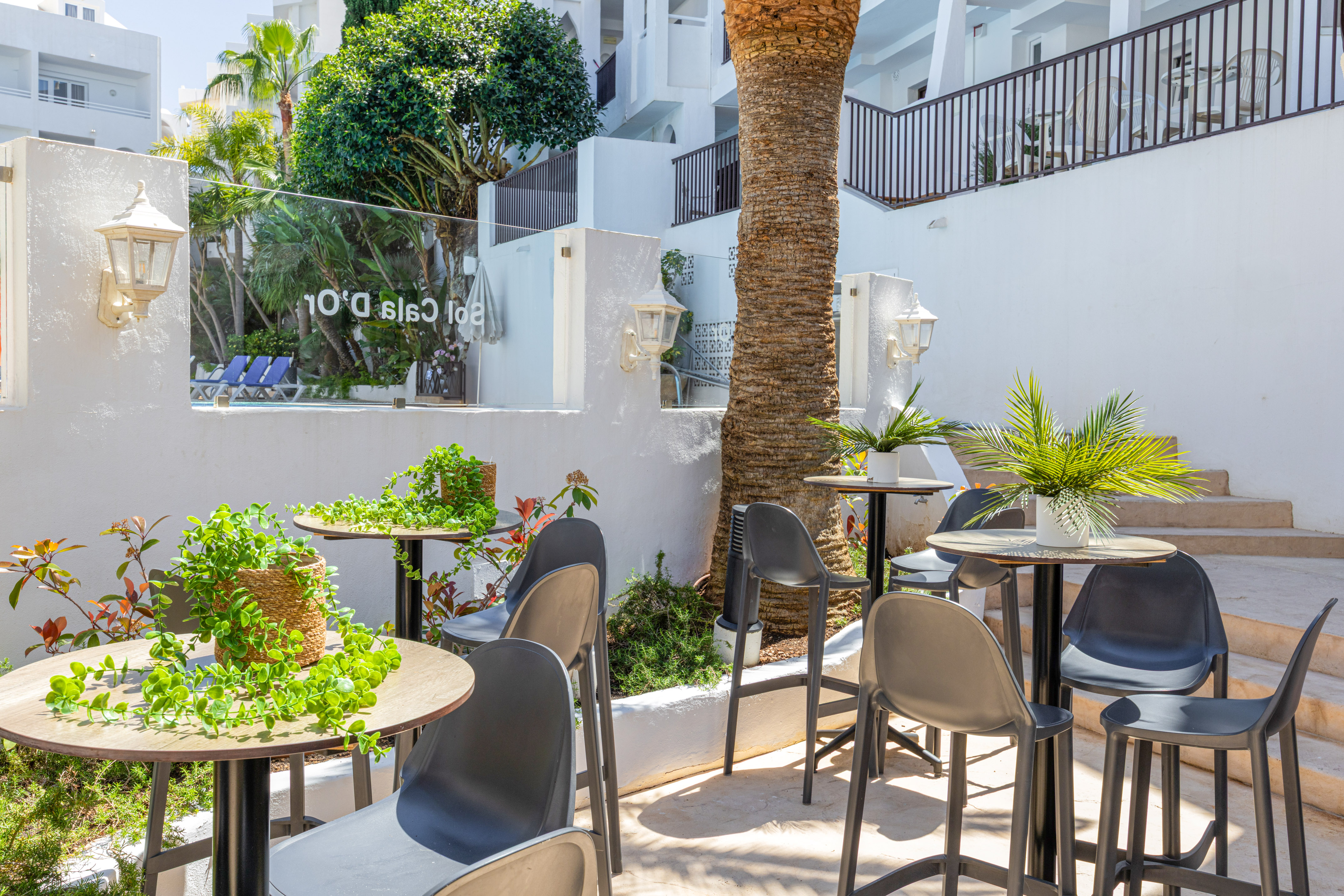 Sol Calas d'Or outdoor cafe with modern bar tables, high chairs, and palm trees.