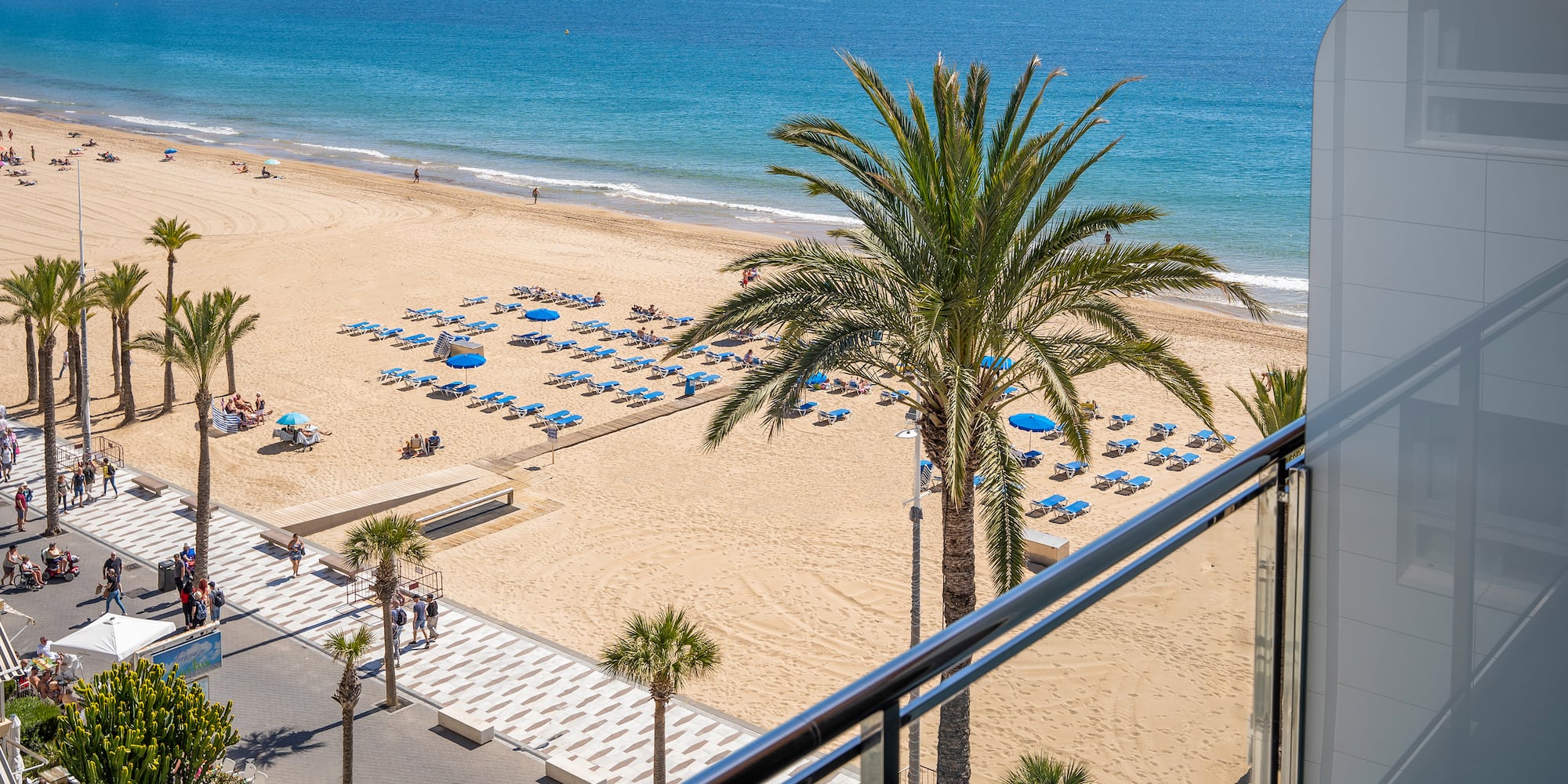 a beach with palm trees and umbrellas