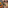 a steak and vegetables on a grill