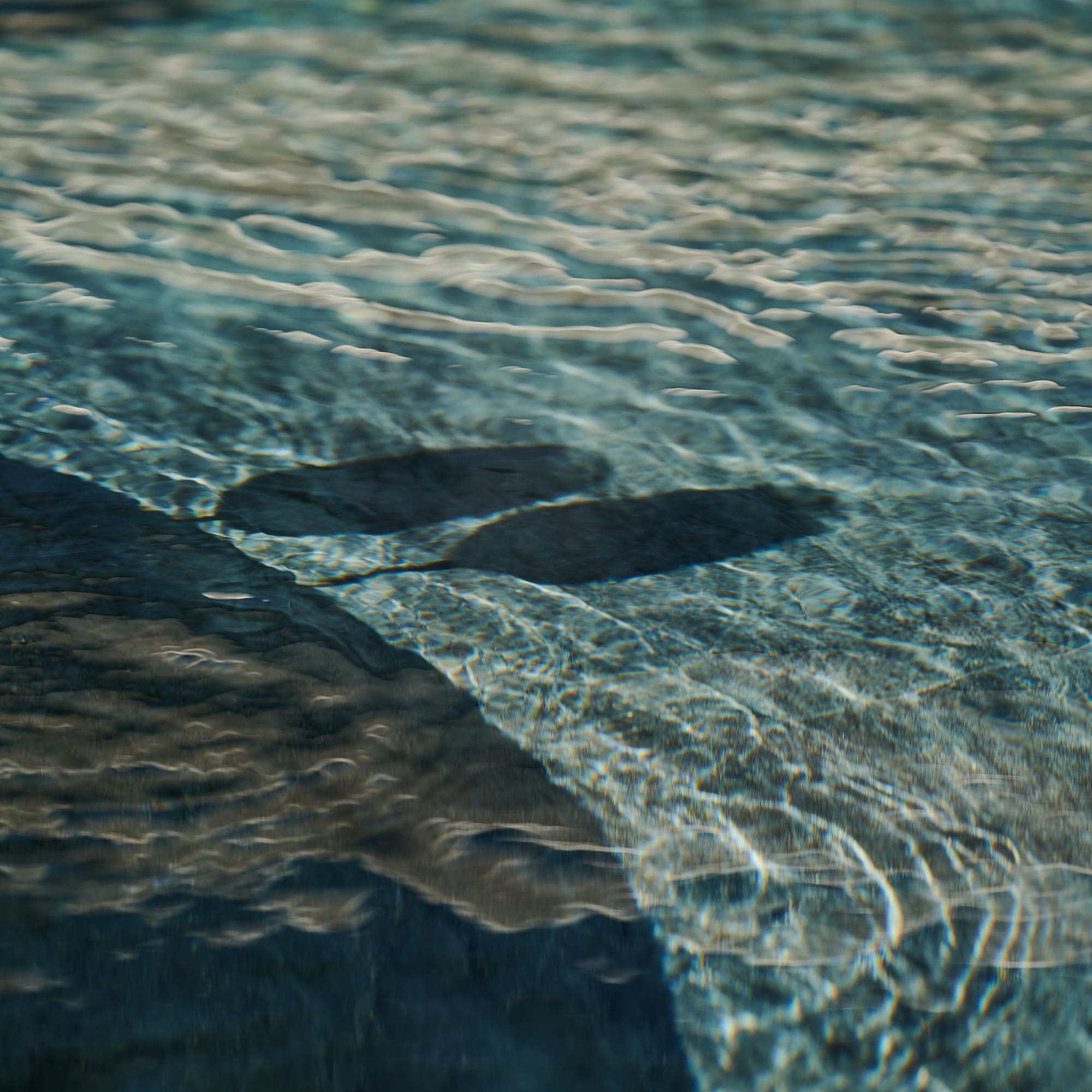 a pair of footprints in water