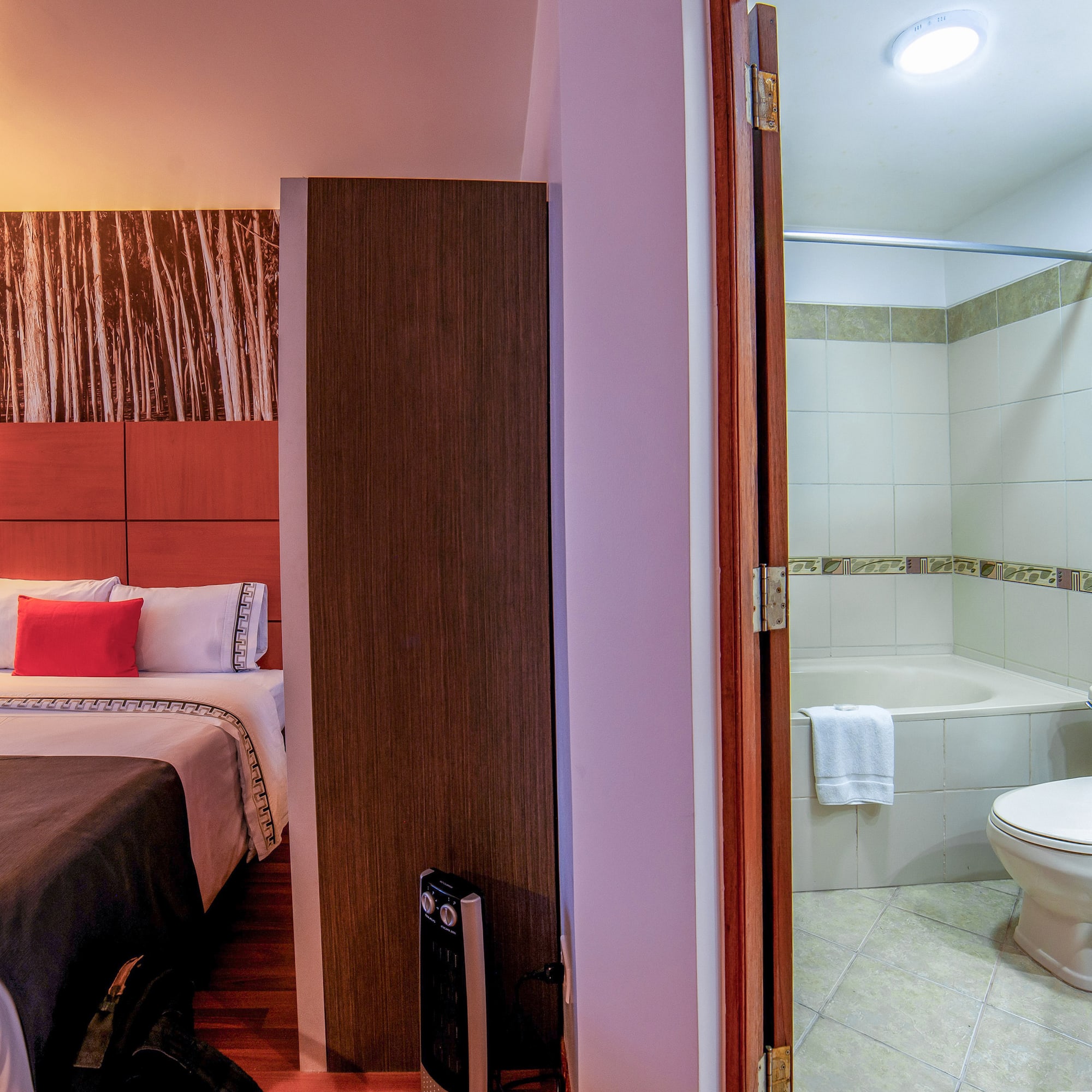 a bedroom with a toilet and a tub