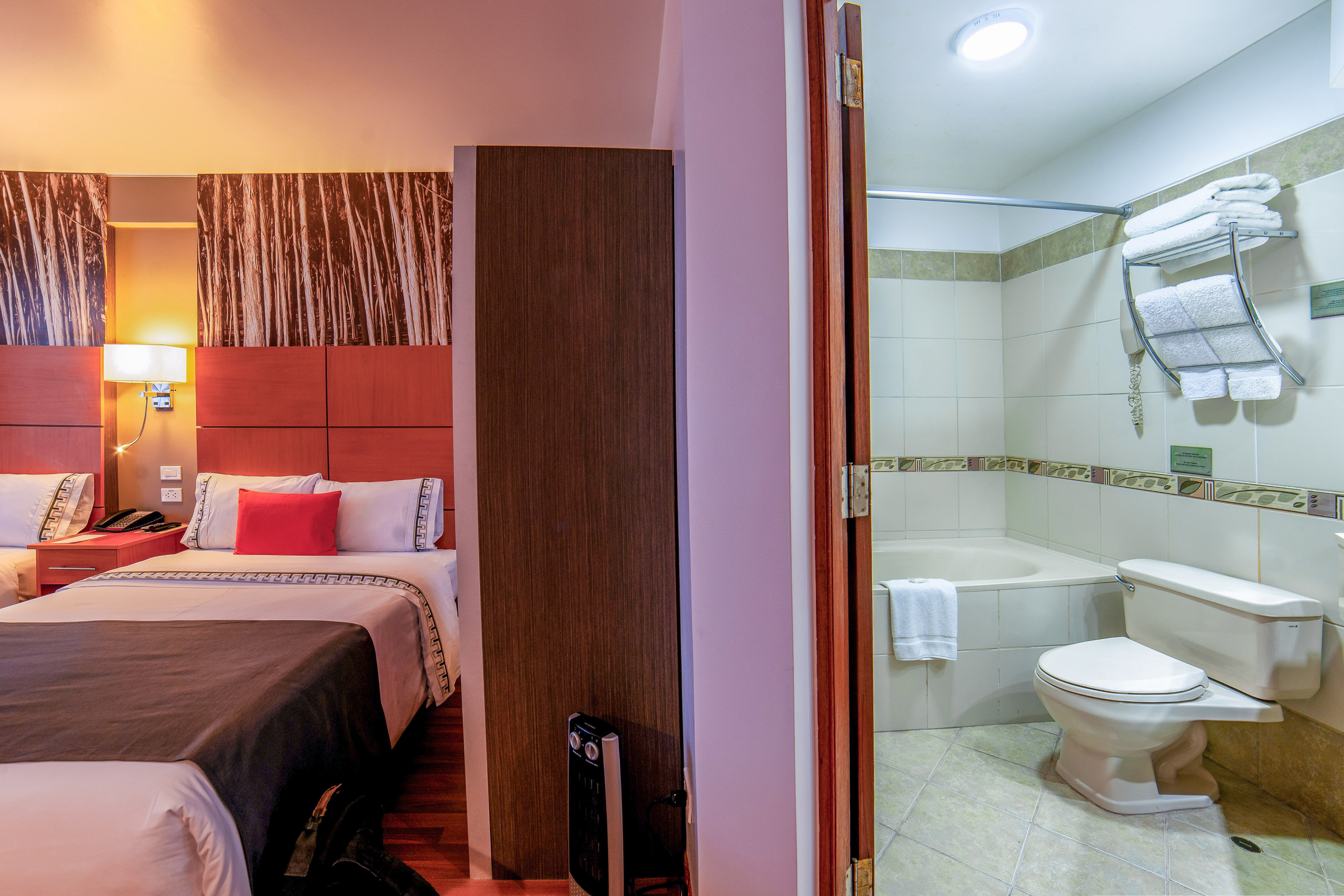 a bedroom with a toilet and a tub