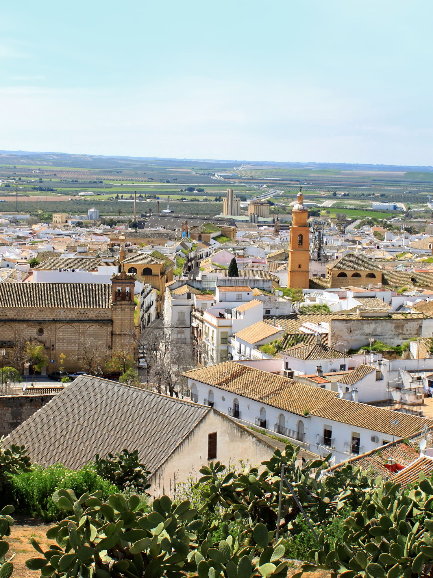 a city with many buildings and trees